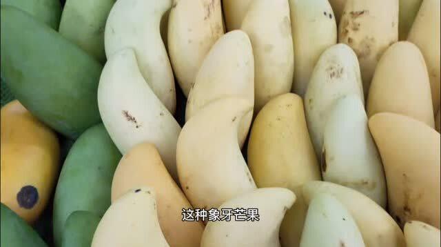 山东今日茭瓜价格行情,今日市场动态一览