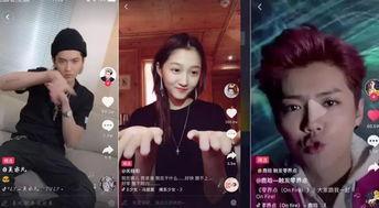 明星网红同台原视频,跨界合作新篇章