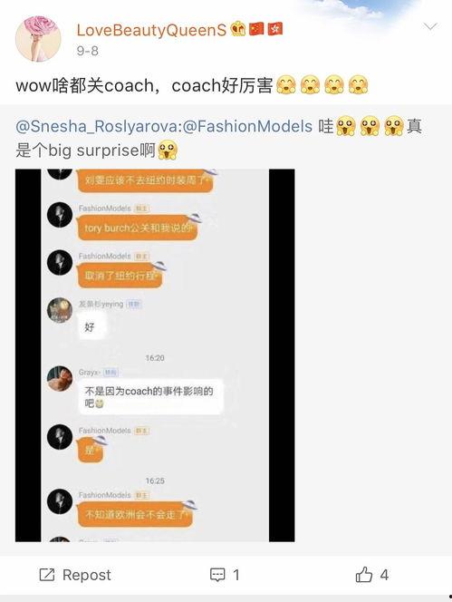 吃瓜曝光黑粉最新版本更新内容,揭秘黑粉动态，守护网络清朗空间