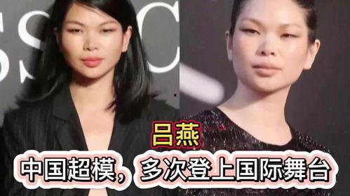 明星网红职业对比图片,明星与网红职业画像对比解析