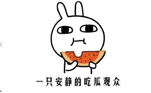 黑料事件 吃瓜 最新事件,吃瓜群众聚焦最新事件真相揭秘