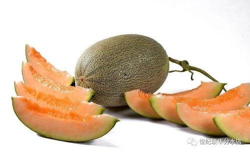 门黑料吃瓜区最新回放