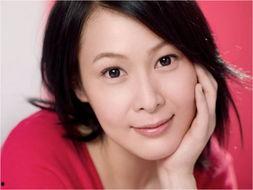 明星网红新闻热点,盘点近期热点事件与幕后故事