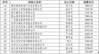 明星网红纳税额比例,财富与责任的平衡
