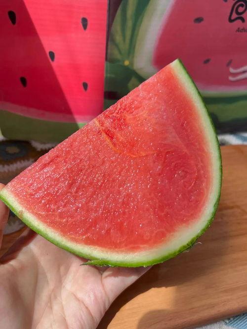 爱马仕黑房子吃瓜,一场别开生面的吃瓜盛宴