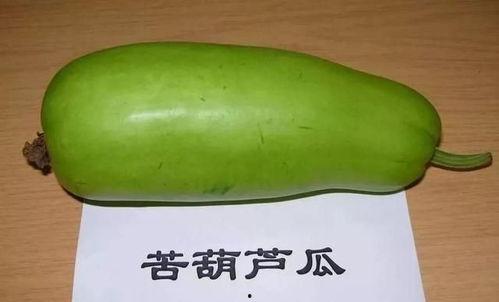 今日关注葫芦瓜中毒事件,紧急调查与预防措施揭晓