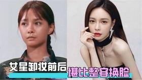 ai明星网红换脸,明星换脸背后的神奇魅力