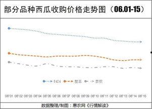 今日瓜干价格行情走势,今日行情走势解析