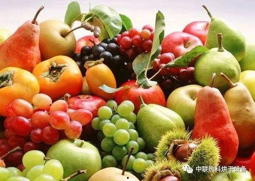 昆明今日土瓜价格行情,实惠之选，市民抢购热潮