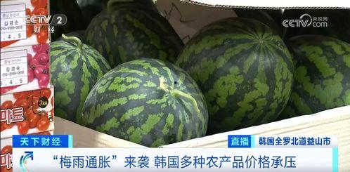 旱瓜今日价格行情最新,今日价格波动解析