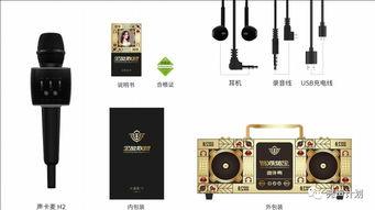 明星网红同款话筒,明星效应下的潮流选择