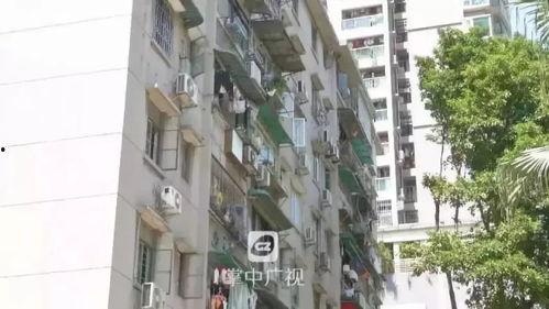 乐山瓜贩小区今日新闻,瓜贩纠纷引关注，社区紧急介入调解