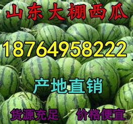 今日瓜菜批发价多少,今日瓜菜批发价行情一览