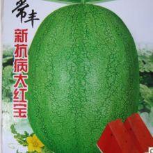 新瓜热门,揭秘网络热点的背后真相